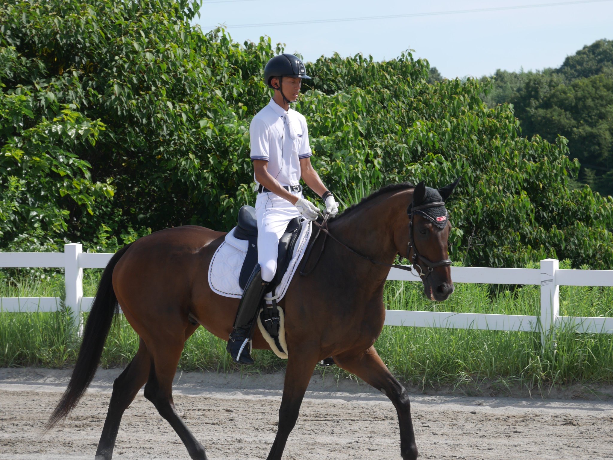 引退競走馬の応援・リトレーニング支援