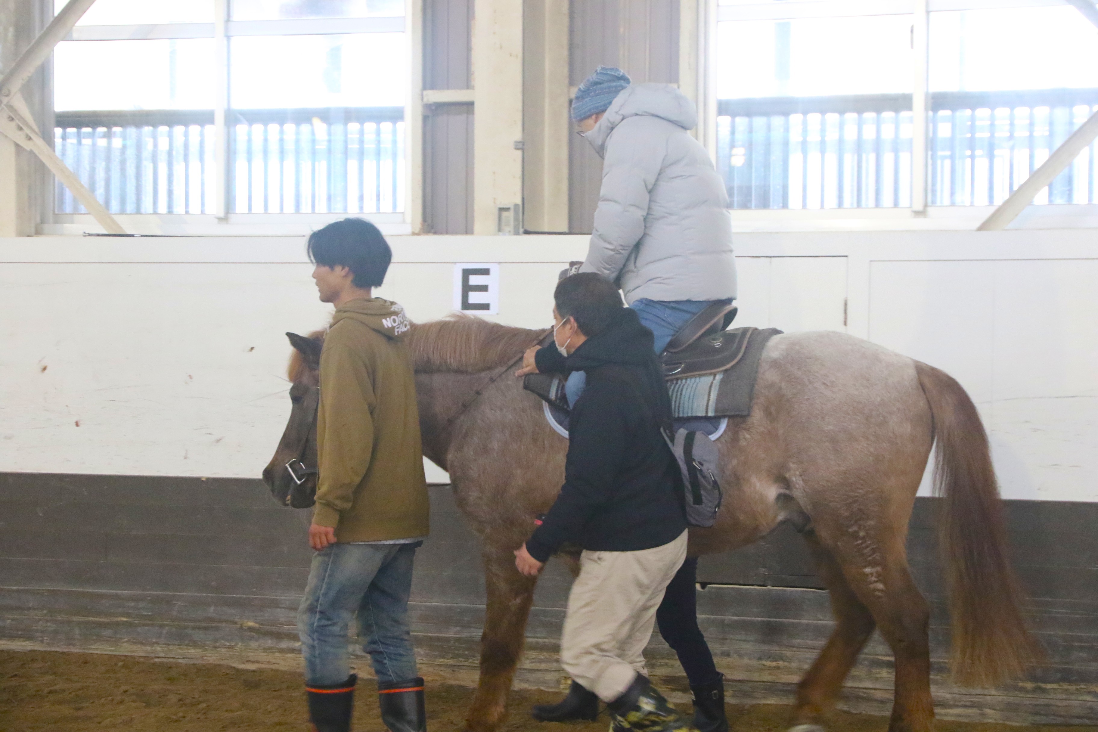 乗馬体験メニュー