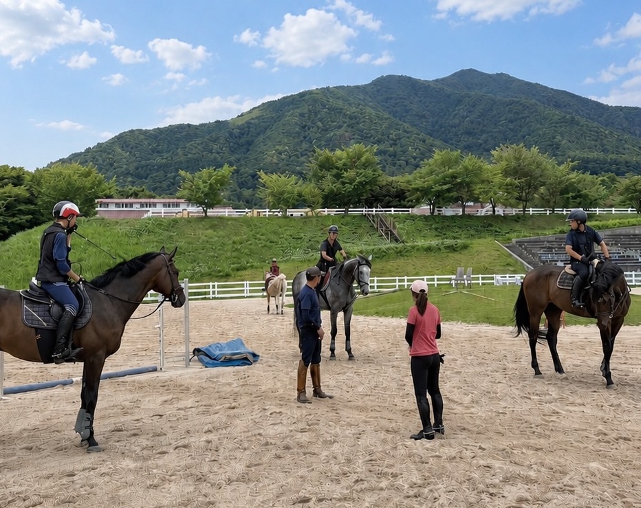 适合从初学者到高级骑手的课程