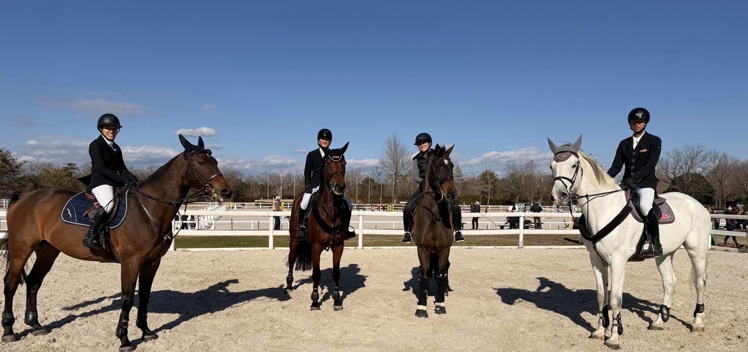 A variety of riding styles to choose from